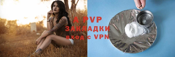 спиды Майский