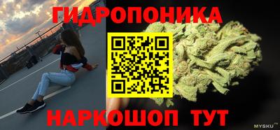 спиды Заволжье