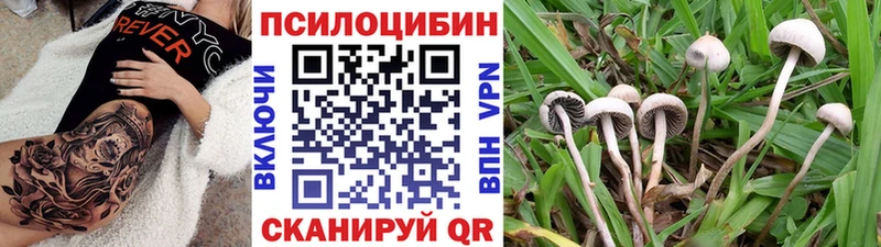 Псилоцибиновые грибы мицелий  купить наркотики сайты  Мелеуз 